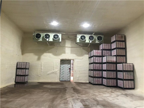 马博（中国）苹果冷库安装案例